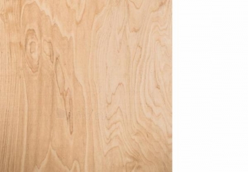 Moisture resistant plywood 2500x1250x18 BB/WG Plywood