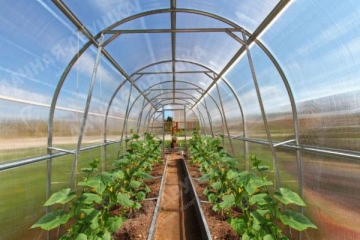 Greenhouse Dvūška 2000x4000x4mm (8m2) Greenhouses
