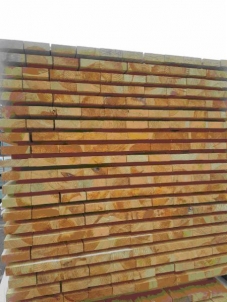 Tašeliai 25*100*3000 - statybinė ne obliuota , nedžiovinta mediena (lentos)