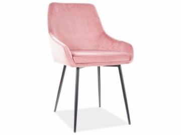 Dining chair Albi Velvet pink Dining chairs