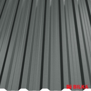 Trapezoidal profile steel roof Bilka Trapez T18 (stoginis / sieninis) 0,5 mm matinis