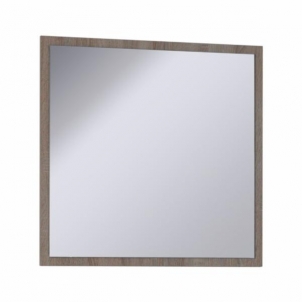 Veidrodis ANTER A01 Prieškambario veidrodžiai