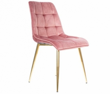 Dining chair Chic Gold Velvet ash rose Dining chairs