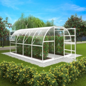 Arched šiltnamis Baltija 30 m2 (3x10 m) su 6 mm polikarbonato danga (baltas rėmas) Greenhouses