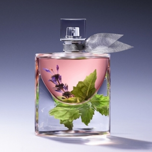 Parfumuotas vanduo Lancome La Vie Est Belle Perfumed water 50ml