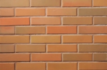 Perforated facing bricks Rudite 11.131700L