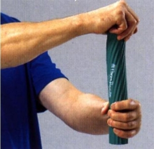 Thera-Band Flexbar rankos treniruoklis, mėlynas