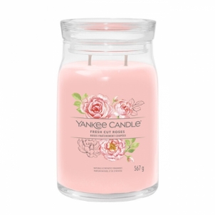 Aromatinė žvakė Yankee Candle Aromatic candle Signature glass large Fresh Cut Rose s 567 g Mājas smaržas