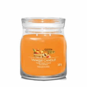 Aromatinė žvakė Yankee Candle Aromatic candle Signature glass medium Farm Fresh Peach 368 g Mājas smaržas