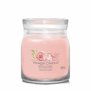 Aromatinė žvakė Yankee Candle Aromatic candle Signature glass medium Fresh Cut Rose s 368 g Mājas smaržas