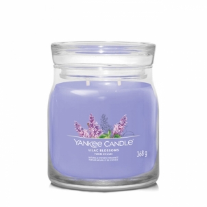 Aromatinė žvakė Yankee Candle Aromatic candle Signature glass medium Lilac Blossoms 368 g Mājas smaržas