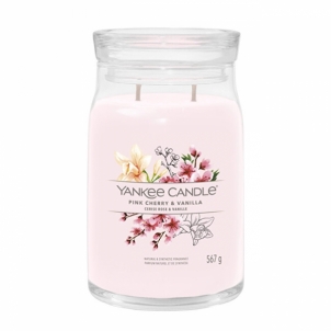 Aromatinė žvakė Yankee Candle Aromatic candle Signature large glass Pink Cherry & Vanilla 567 g 