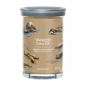 Aromatinė žvakė Yankee Candle Aromatic candle Signature tumbler large Amber & Sandalwood 567 g Mājas smaržas
