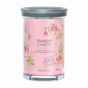 Aromatinė žvakė Yankee Candle Aromatic candle Signature tumbler large Fresh Cut Rose s 567 g Mājas smaržas