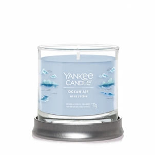 Aromatinė žvakė Yankee Candle Aromatic candle Signature tumbler small Ocean Air 122 g