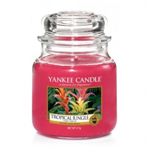 Aromatinė žvakė Yankee Candle Medium Tropical Jungle 411g Mājas smaržas