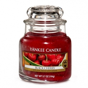 Aromatinė žvakė Yankee Candle Scented candle Classic small Ripe cherry (Black Cherry) 104 g Kvapai namams
