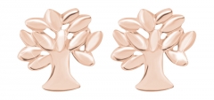 Auskarai Troli Modern pink gilded earrings Tree of life Auskarai