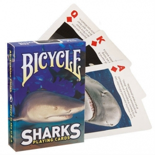 Bicycle Sharks kortos