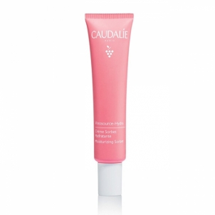 Caudalie Moisturizing Cream Sorbet for Sensitive Skin Vinosource -Hydra (Moisturizing Sorbet) 40 ml 