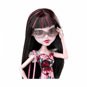CHW55 / CHW57 lėlė Monster High, Mattel