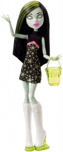 CHW73 / CHW69 lėlė Monster High Ghoul Fair Scarah Screams Doll