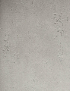 DANDELION 6566-70, 10,00x0,53cm rusvi tapetai Viniliniai wallpaper-download photo