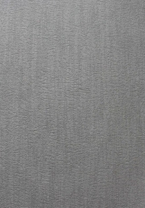 DANDELION 6582-40, 10,00x0,53cm grey wallpaper Vinyl wallpaper
