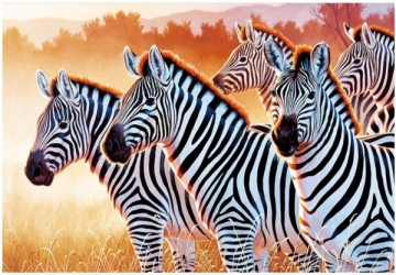 Dėlionė Trefl 26129 zebrai