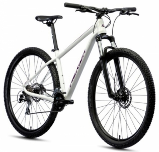 Dviratis Merida BIG.NINE 20-2X white-M(17) 29er bikes