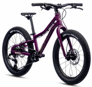 Dviratis Merida MATTS J.20+ purple Bikes for kids