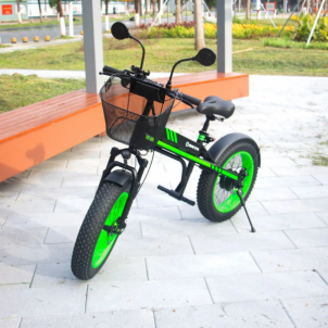 Elektrinis dviratis Manta MES2002N
