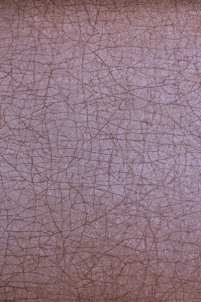 ER 19015 ERA, 10,05x0,53m, rudi gijomis tapetai, Metyl. Vlies Viniliniai wallpaper-download photo