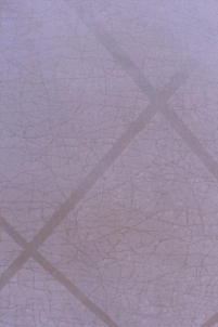 ER 19050 ERA, 10,05x0,53m, balti kvadratais wallpaper, Metyl. Vlies Vinyl wallpaper