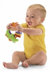 Žaislas kūdikiams - barškutis Fisher Price R6447 / P6955