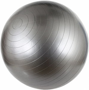 Gimnast. kamuolys 65cm AVENTO 42OB Silver Exercise balls