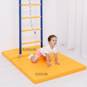Gimnastikos čiužinys ROMANA 100x50x6 cm geltonas Zviedru sienas