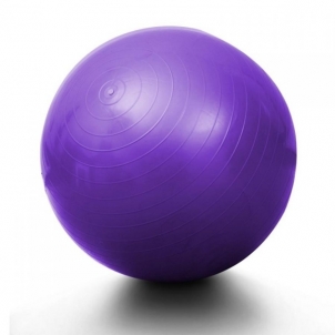 Gimnastikos kamuolys 55cm (Fitball fitnesam)
