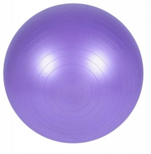 Gimnastikos kamuolys 65cm (Fitball fitnesam)