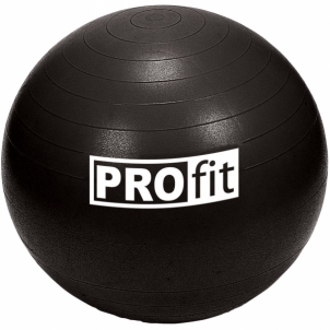 Gimnastikos kamuolys Profit 45cm su pompa DK 2102