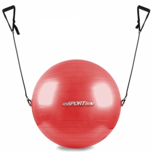Gimnastikos Kamuolys su Rankenėlėmis 55cm Raudonas Mankštos kamuoliai