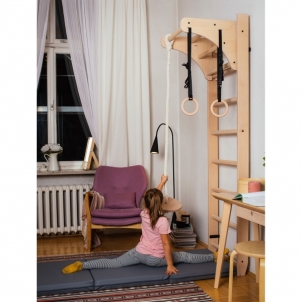 Gimnastikos kopėčios su priedais - BenchK 112