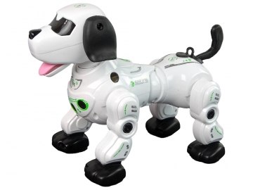Interaktyvus nuotoliniu būdu valdomas robotas šuo