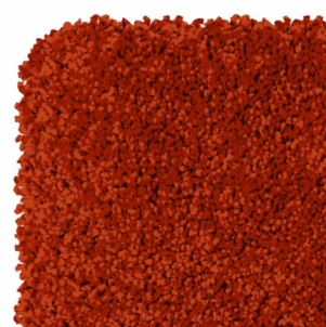 Kilimas SHERPA COSY 52601/010, 120x170 raudonas Carpets