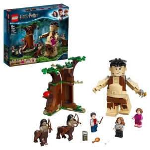 Konstruktorius LEGO Harry Potter Uždraustasis miškas: Ambridž susidūrimas 75967 LEGO ir kiti konstruktoriai vaikams