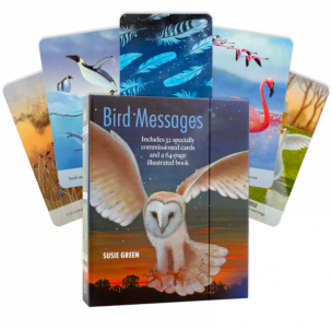 Kortos Bird Messages