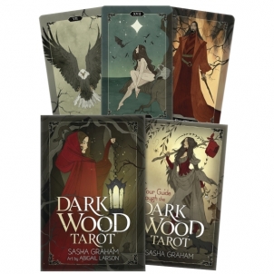 Kortos Dark Wood Tarot Taro kārtis
