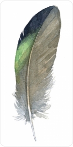 Kortos Oracle Divine Feather