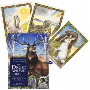 Kortos The Druid Animal Oracle Cards & Book set 