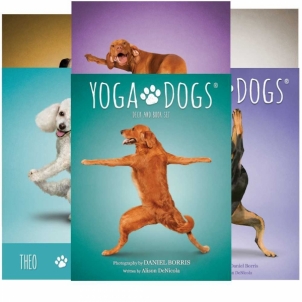 Kortos Yoga Dogs Challenges